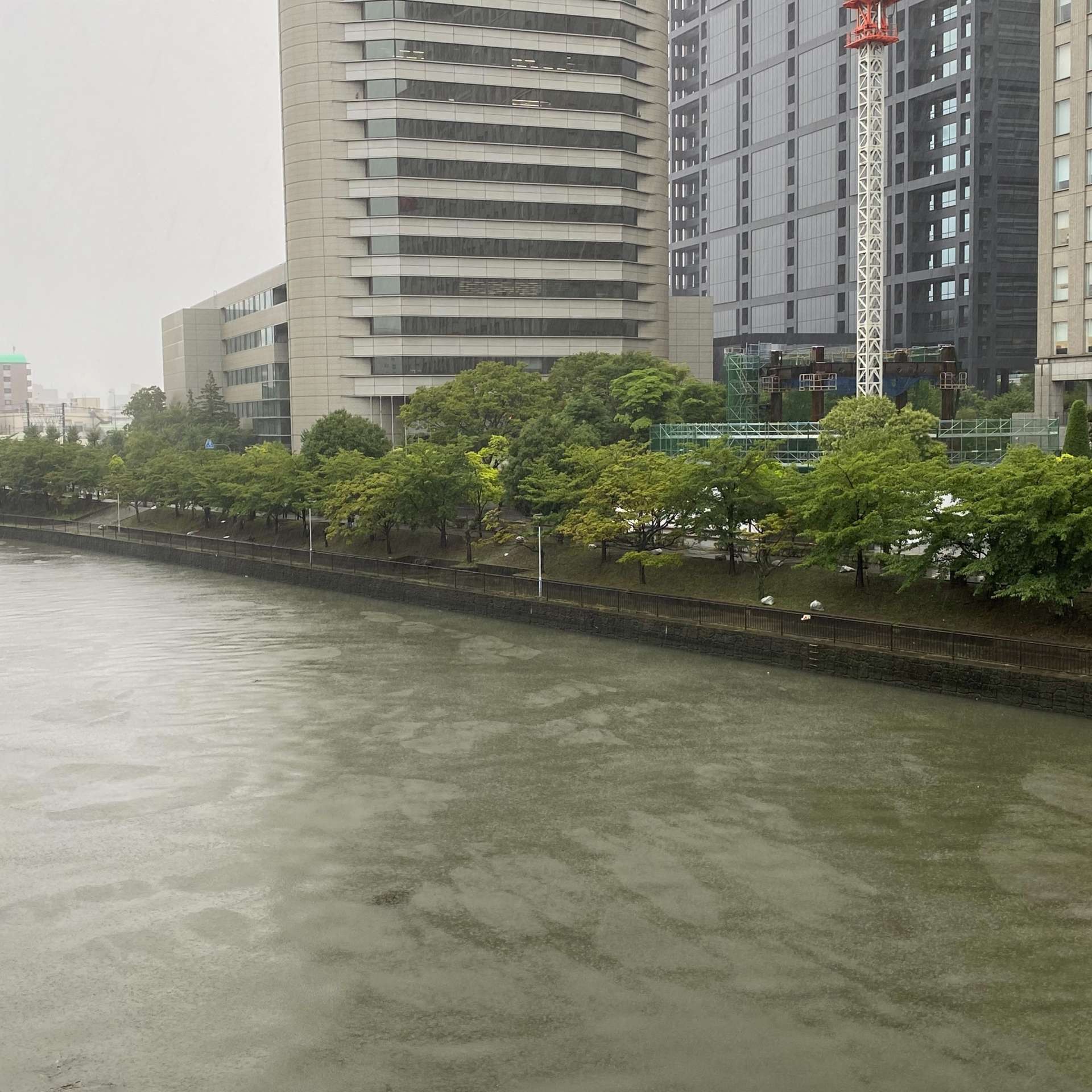 大阪も長引く大雨で気分をリフレッシュ大阪ヨガ